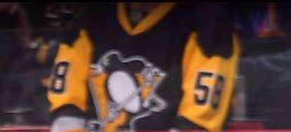 Penguins - my favorite team