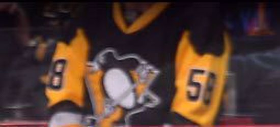 Penguins - my favorite team